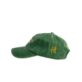 Don't Follow me, I'm Lost Cap - Washed Green 